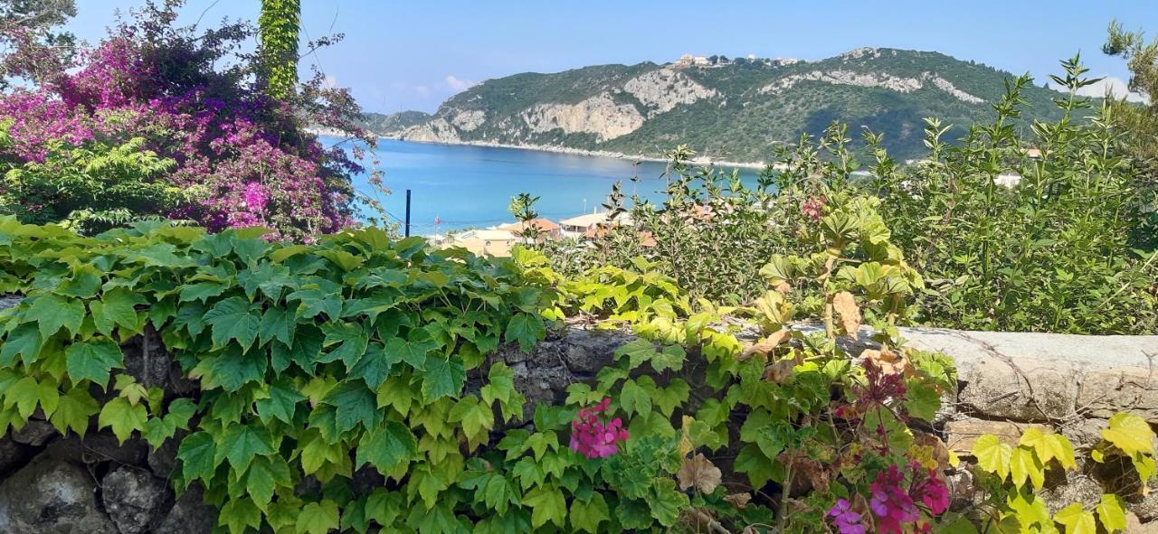 Villa Theodora View Apartments Thalia Agios Georgios Pagon Dış mekan fotoğraf